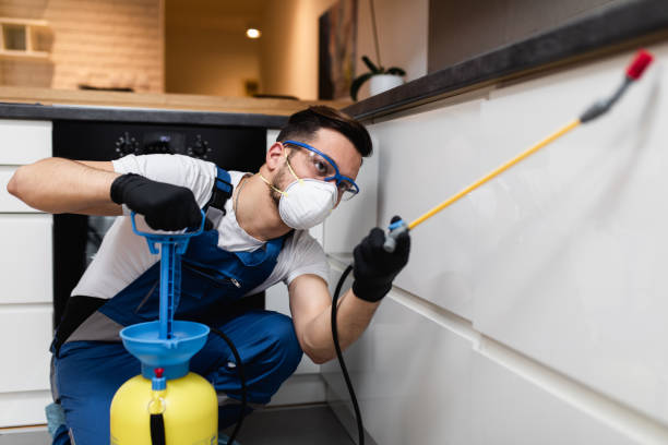 Best Bed Bug Extermination  in Marion, MS