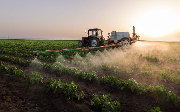 Best Mosquito Control Services  in Marion, MS