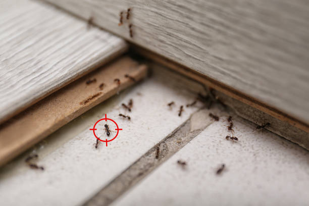  Marion, MS Pest Control Pros