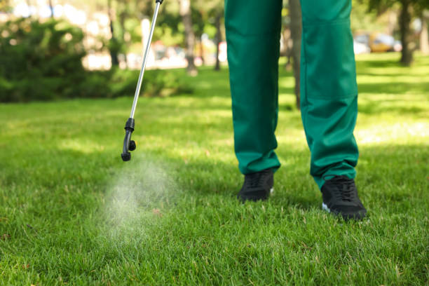 Best Flea Control Services  in Marion, MS