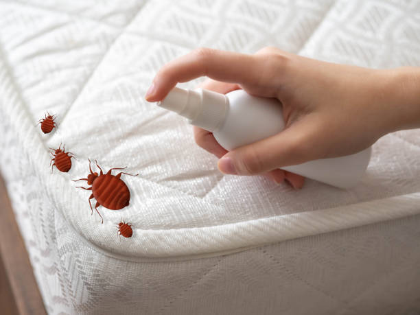 Best Best Pest Control Companies  in Marion, MS