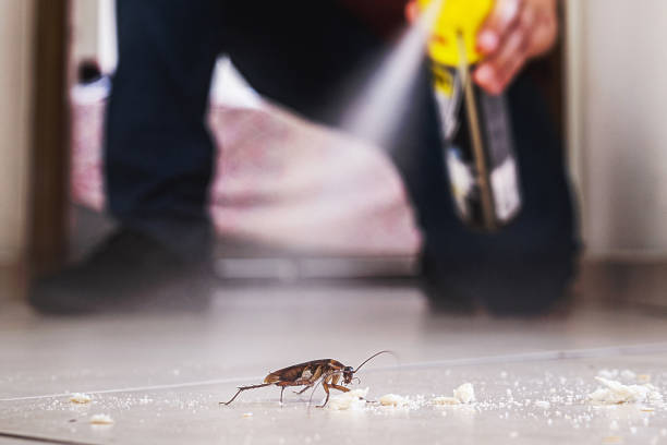 Best Pest Control Near Me in Marion, MS