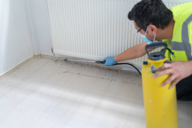 Best Cockroach Control Services  in Marion, MS