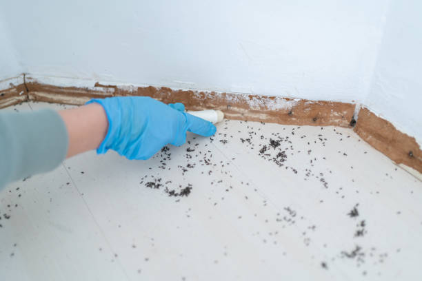 Best Pest Removal Services  in Marion, MS