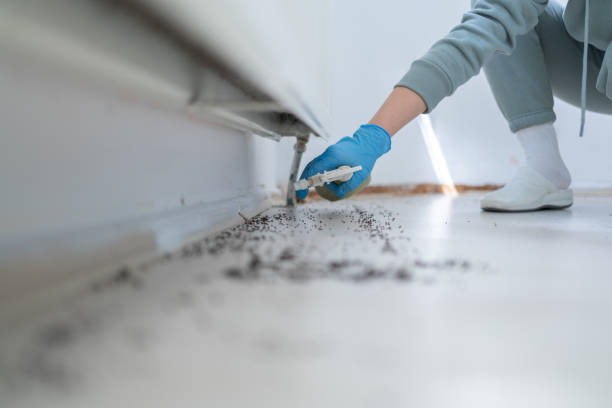Best Local Pest Control Services  in Marion, MS