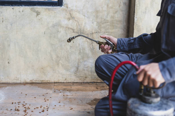 Best Affordable Exterminators  in Marion, MS